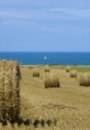 /album/galerie-de-photos-photos-divers-pictures-various/la-paille-sur-le-champ-jpg/